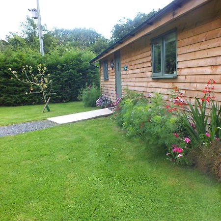 The Potting Shed And The Garden Shed Self Catering Villa Кармартън Екстериор снимка