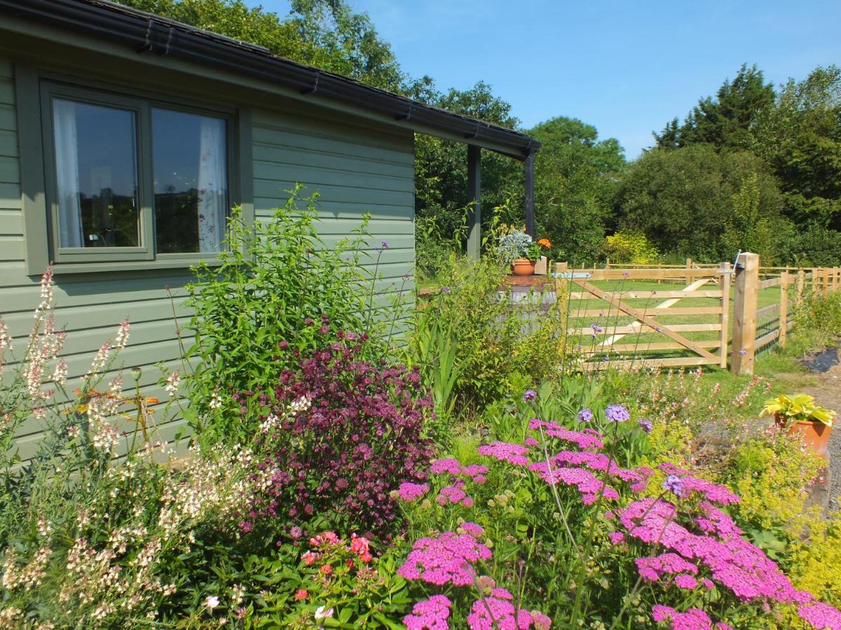 The Potting Shed And The Garden Shed Self Catering Villa Кармартън Екстериор снимка